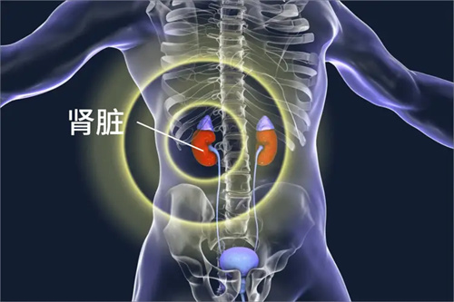 图片细节